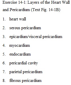 Answer Sheet Chapter 14